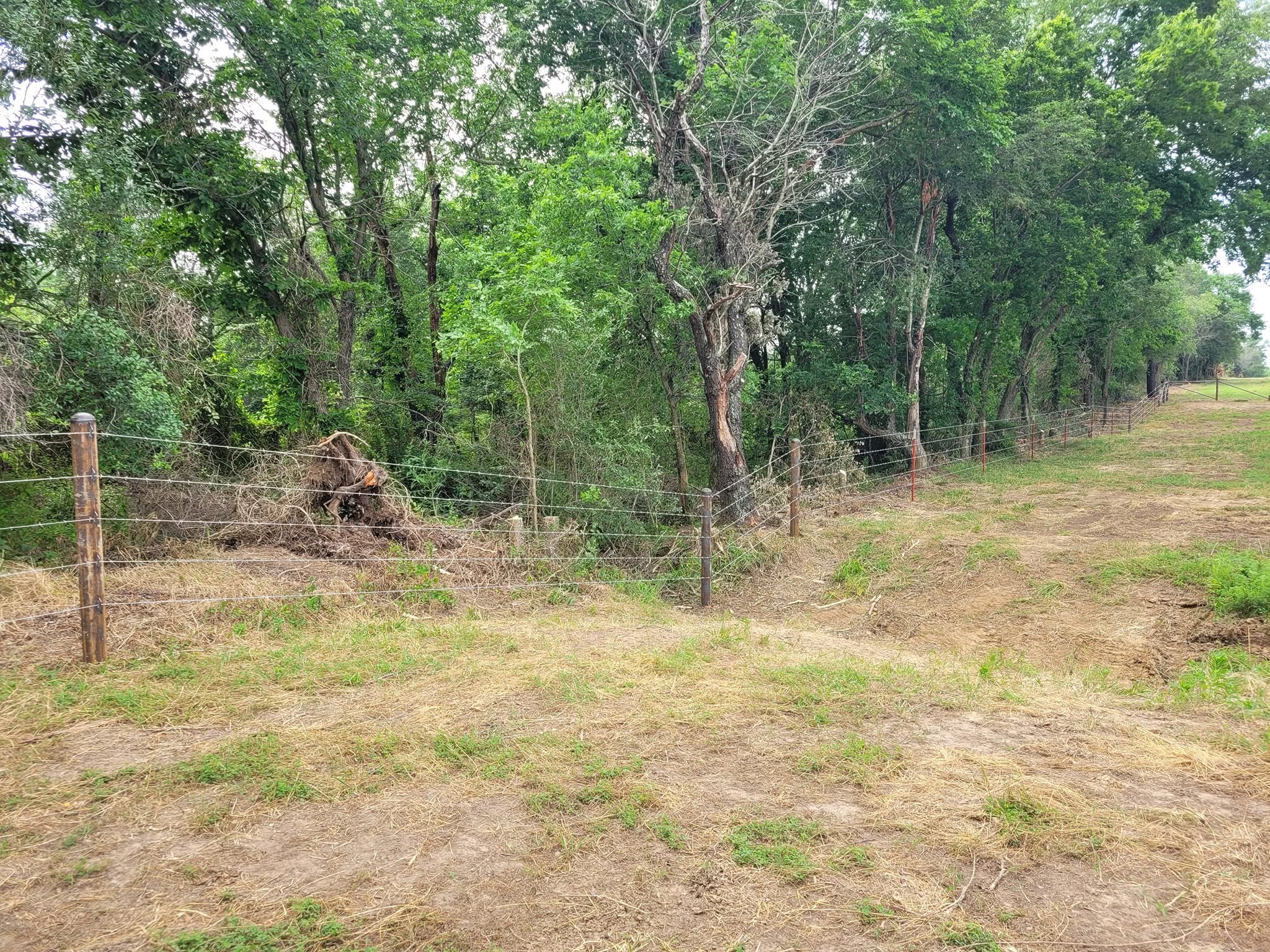 Barbwire fence line cleared through trees