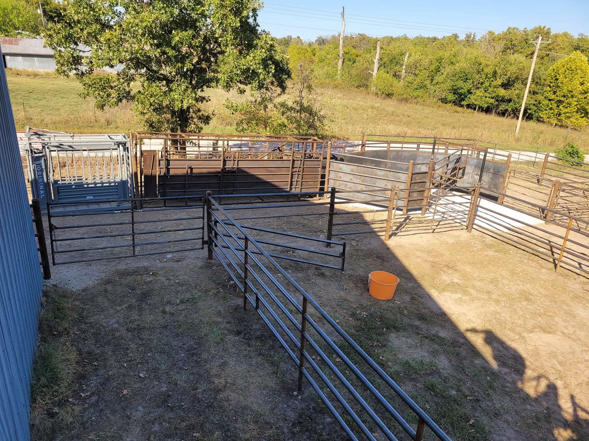 Cattle chute and pens next to a barn