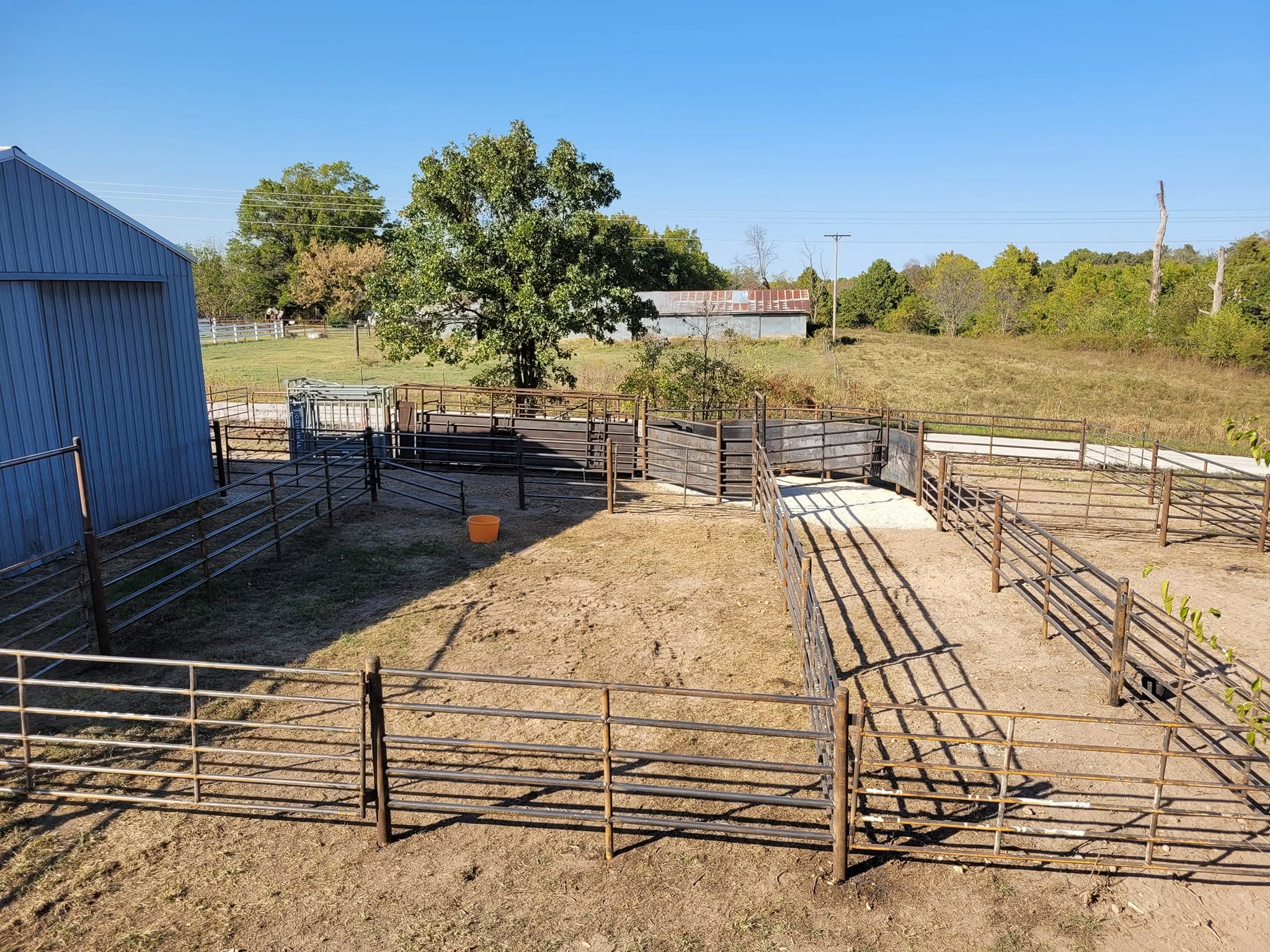 Cattle pen complex next to a steel building