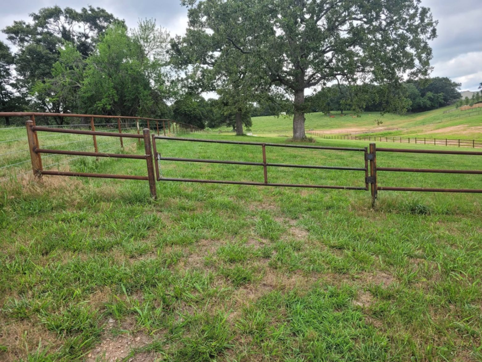 fence