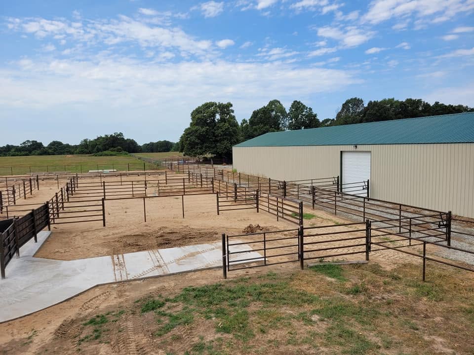 Cattle Pens with 32 Gates