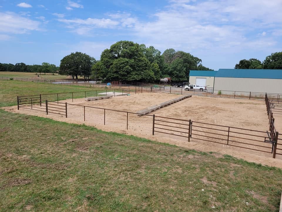 Cattle working alley between pens