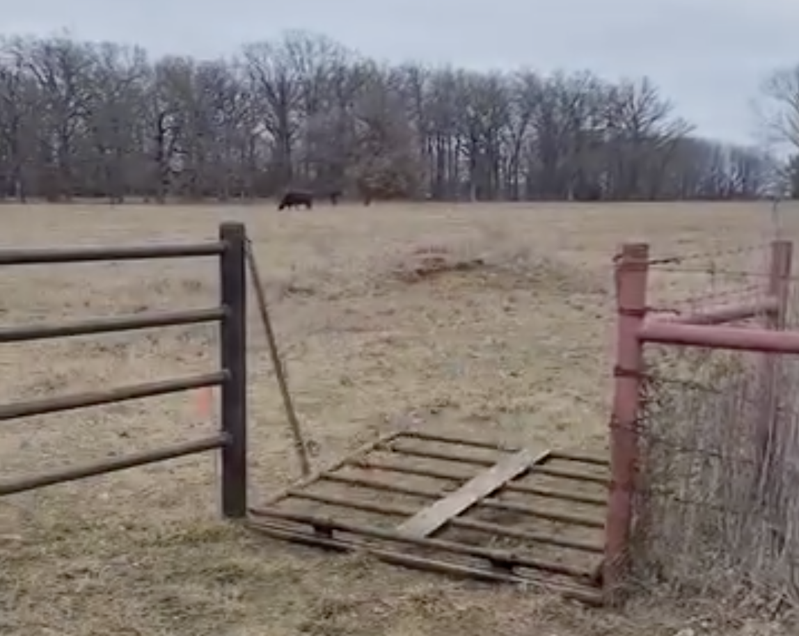Custom ATV Gate