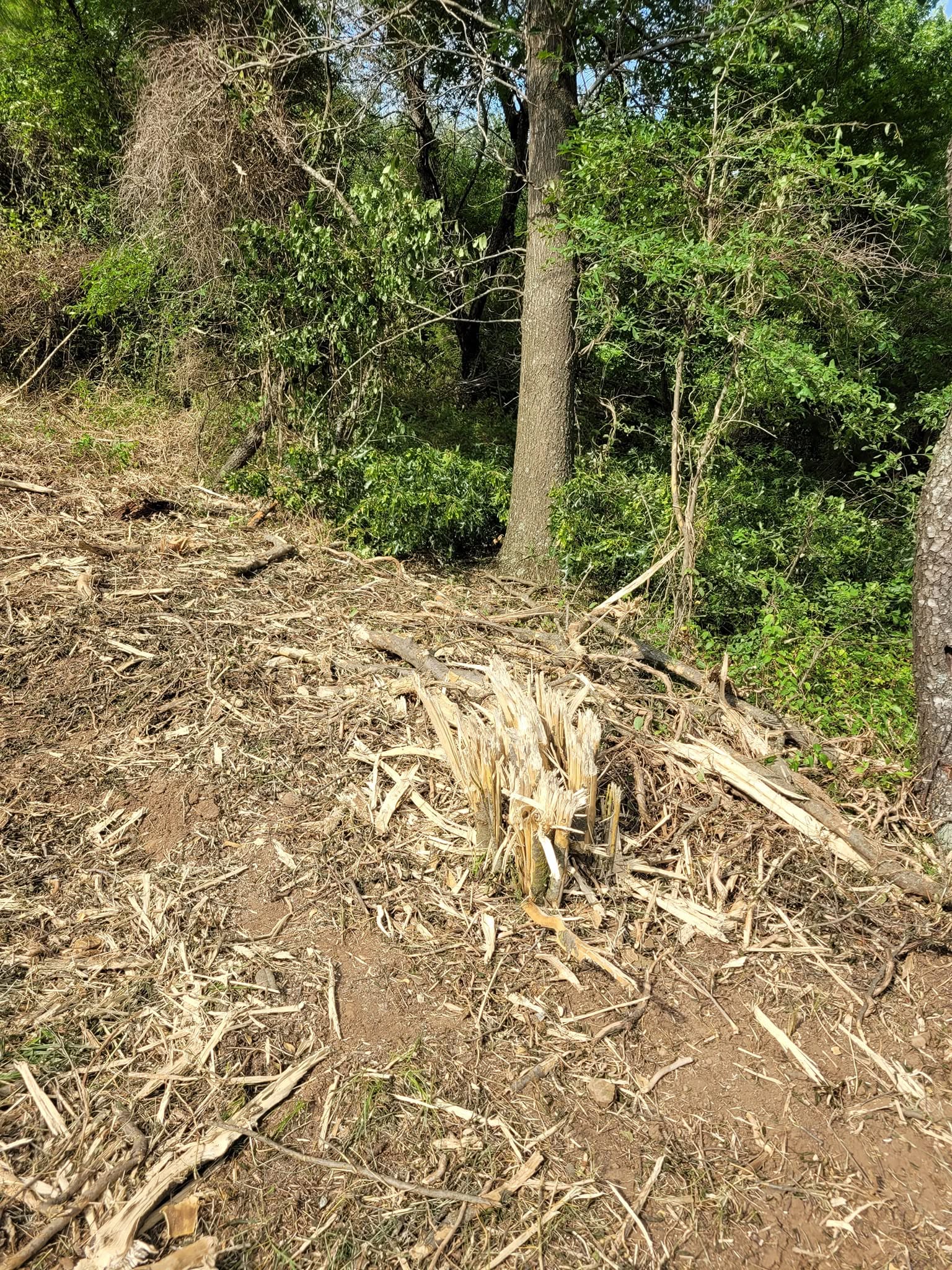 Fence Rebuild — Bluejacket, OK