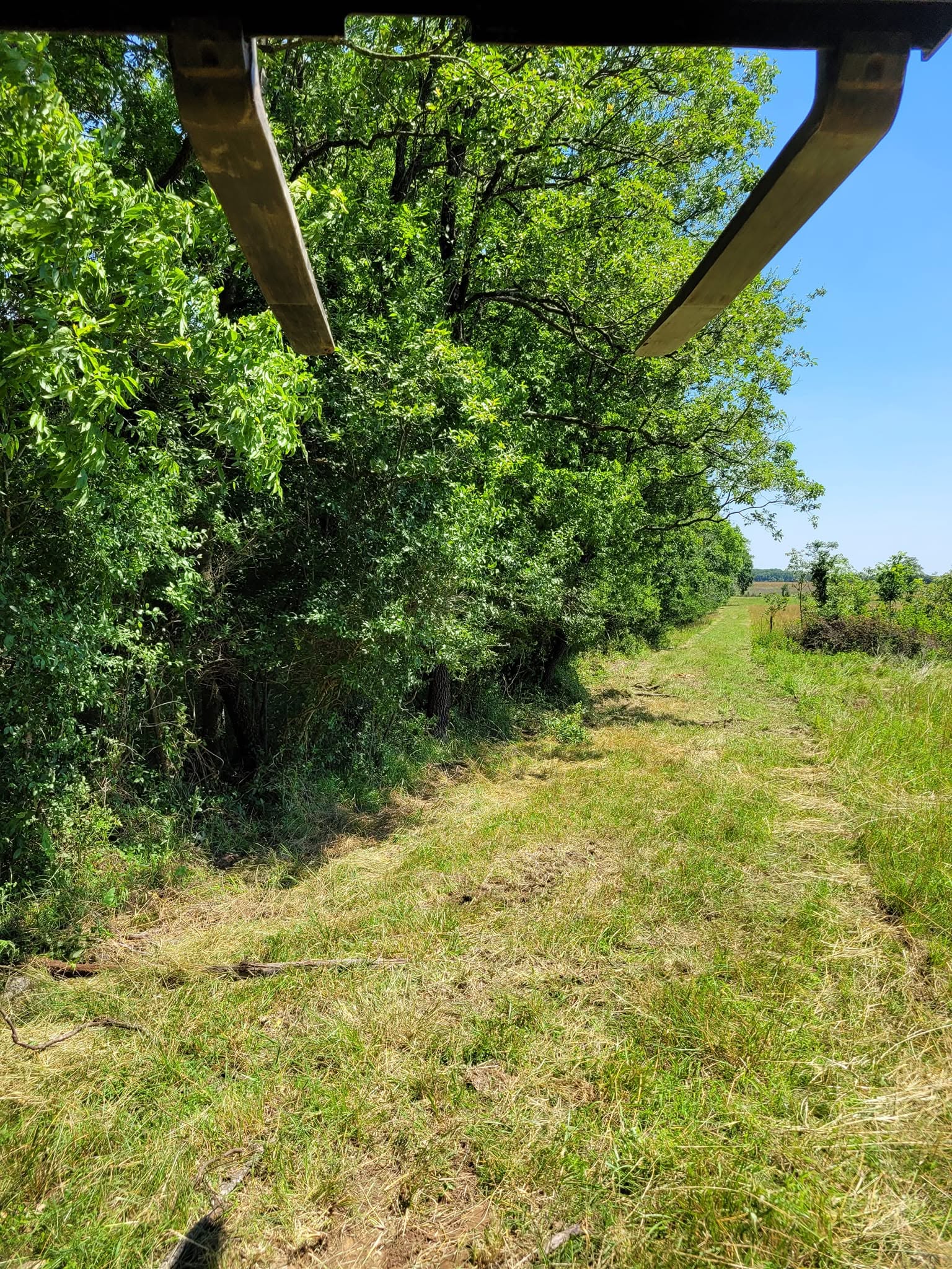 Cleared brush along the new fence route
