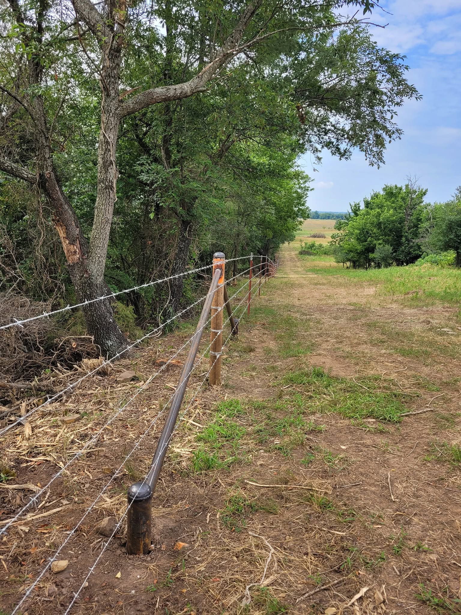 New fence line through the timber