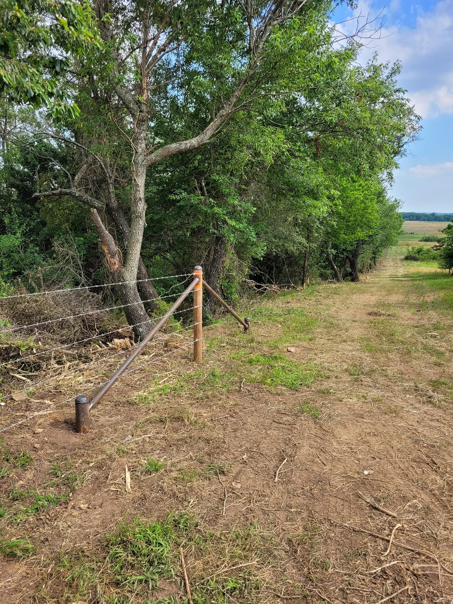 New fence posts along the tree line