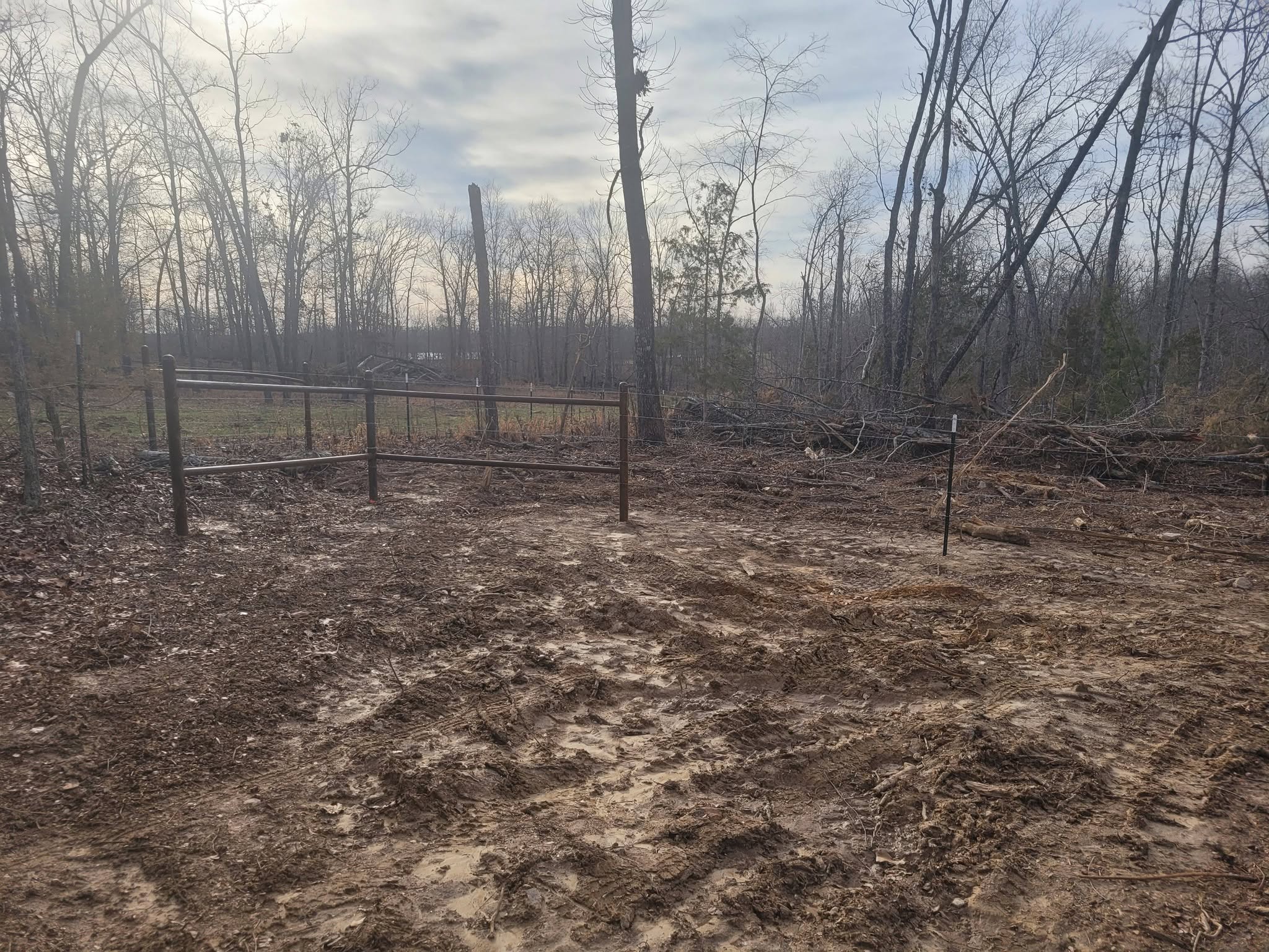 Fence line through open pasture