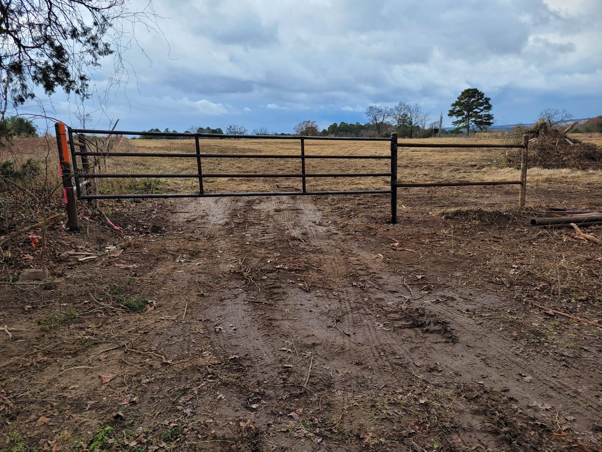 New fence posts along the property line
