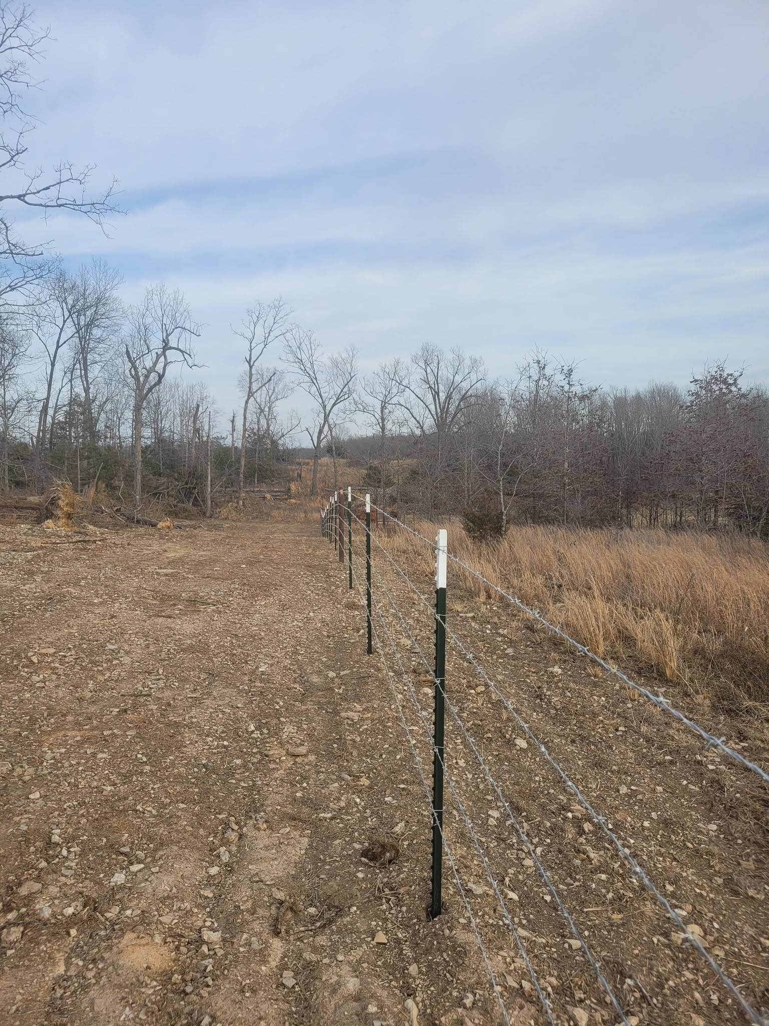 Corner brace along the fence line
