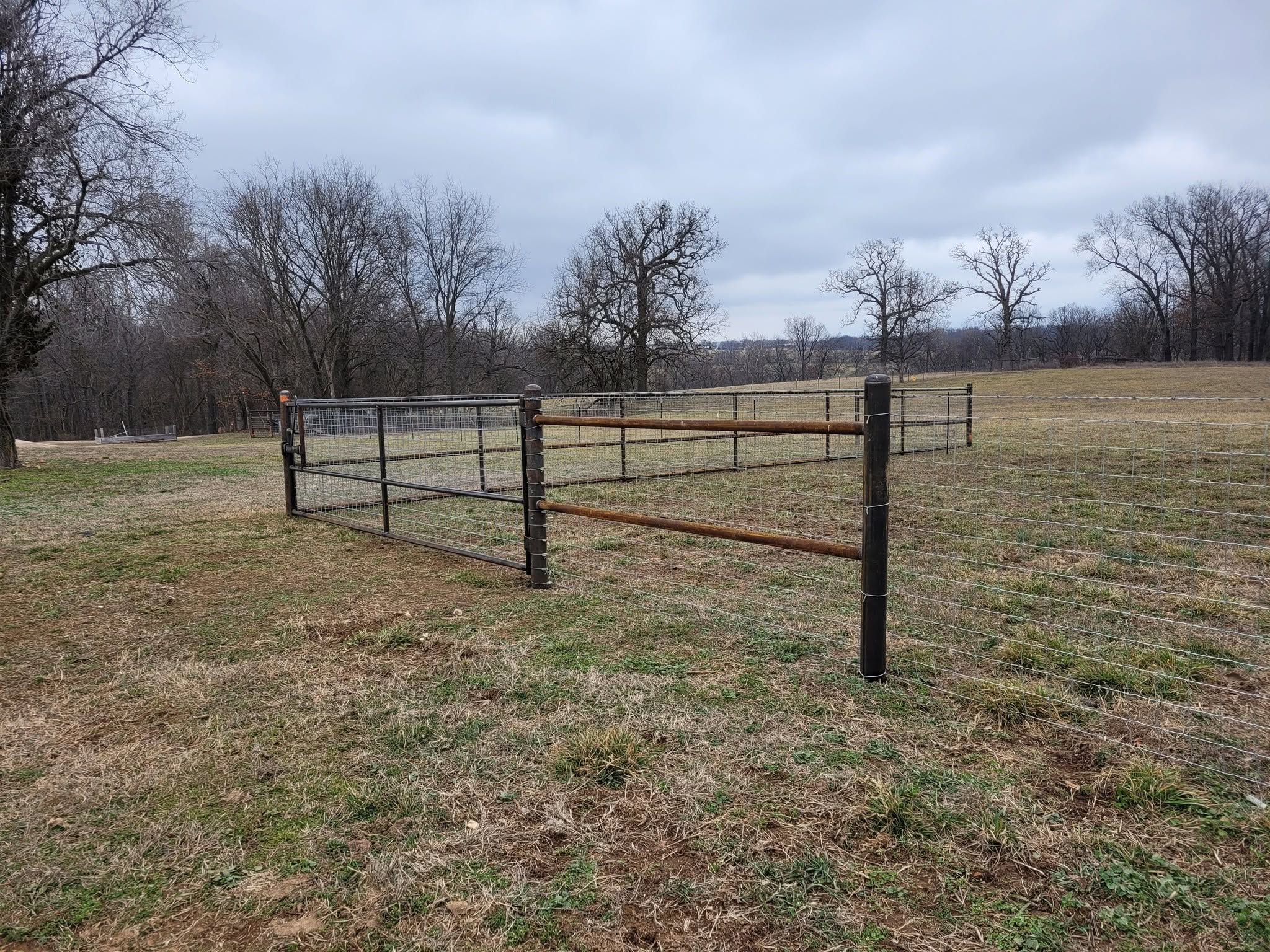 Sheep & Goat Fence — Bentonville, AR