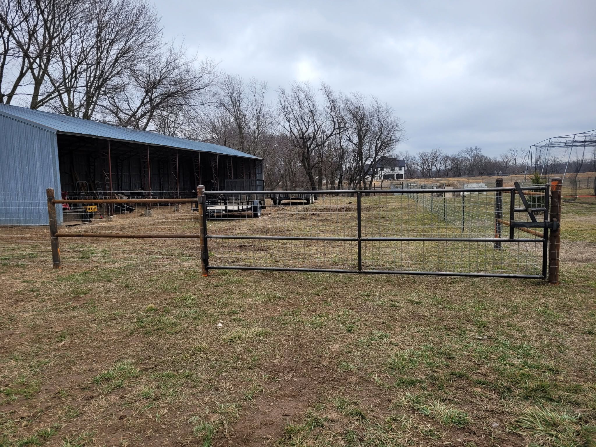 Fence and gate for a livestock enclosure